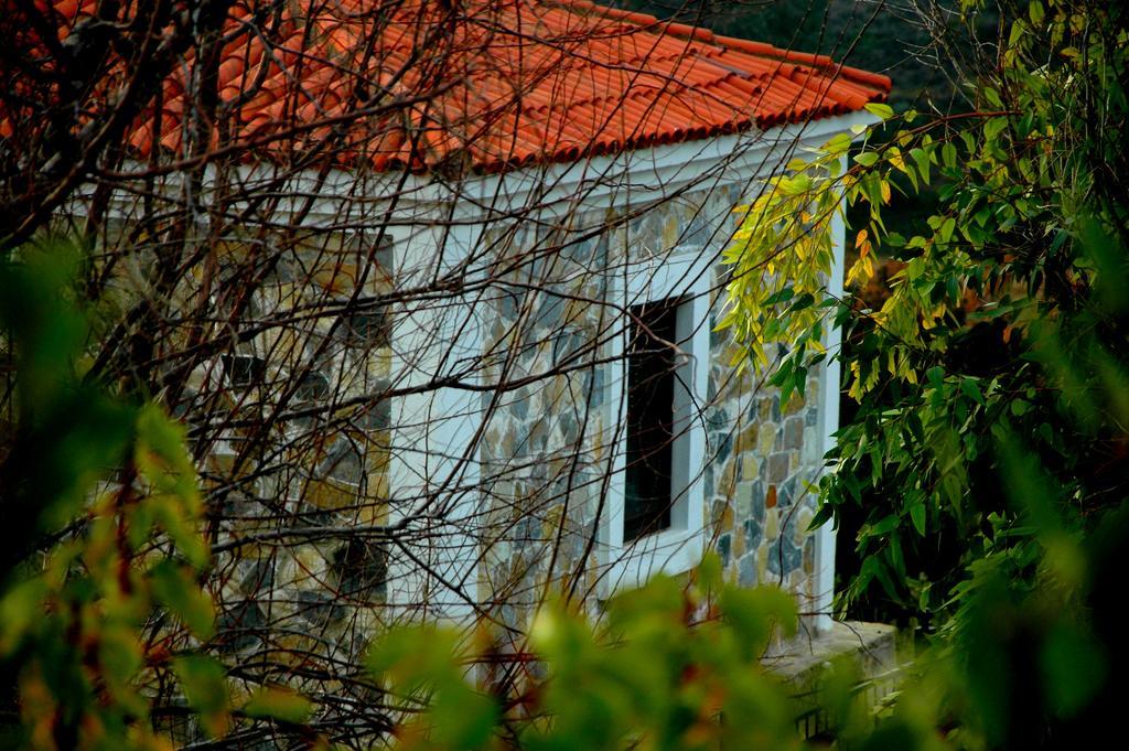 Mavikarga Bozcaada Bed & Breakfast Exterior foto